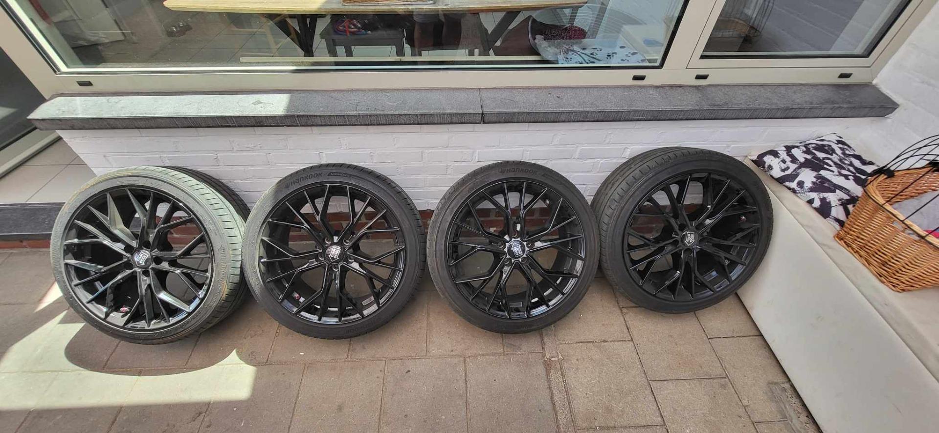 1000 miglia velgen